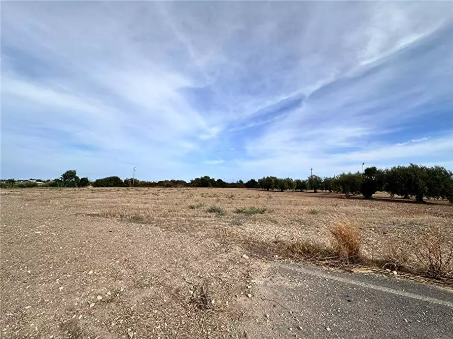 Immagine 10 di Rustico / casale in vendita  in Loc. Lido Di Noto, sn a Noto