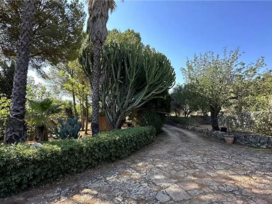 Immagine 7 di Villa in vendita  in Via Via cugni stallaini, 39 a Noto