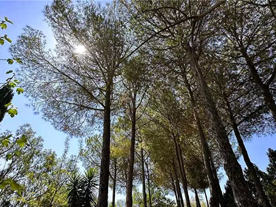 Immagine 9 di Villa in vendita  in Via Via cugni stallaini, 39 a Noto