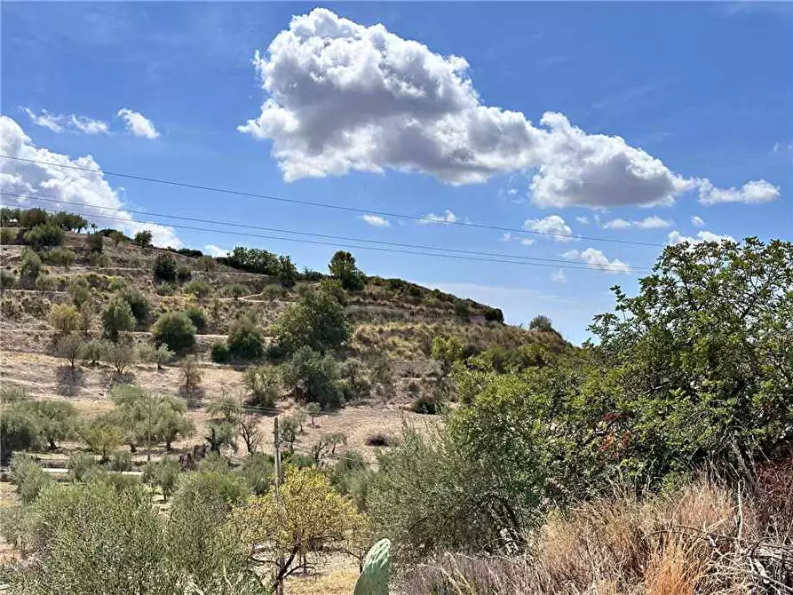 Immagine 3 di Terreno in vendita  in Loc. CDA PORTELLI, SN a Noto