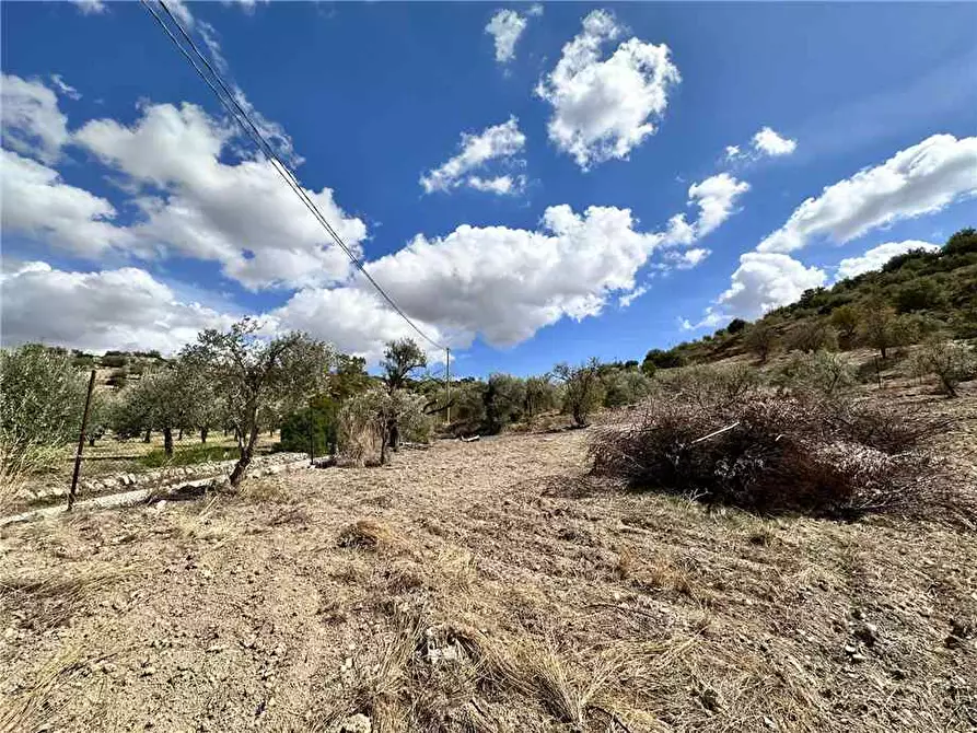 Immagine 5 di Terreno in vendita  in Loc. CDA PORTELLI, SN a Noto