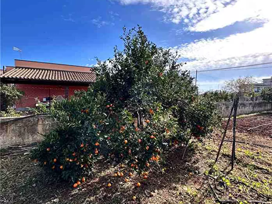 Immagine 3 di Villa in vendita  in Loc. C/da Falconara, s.n. a Noto