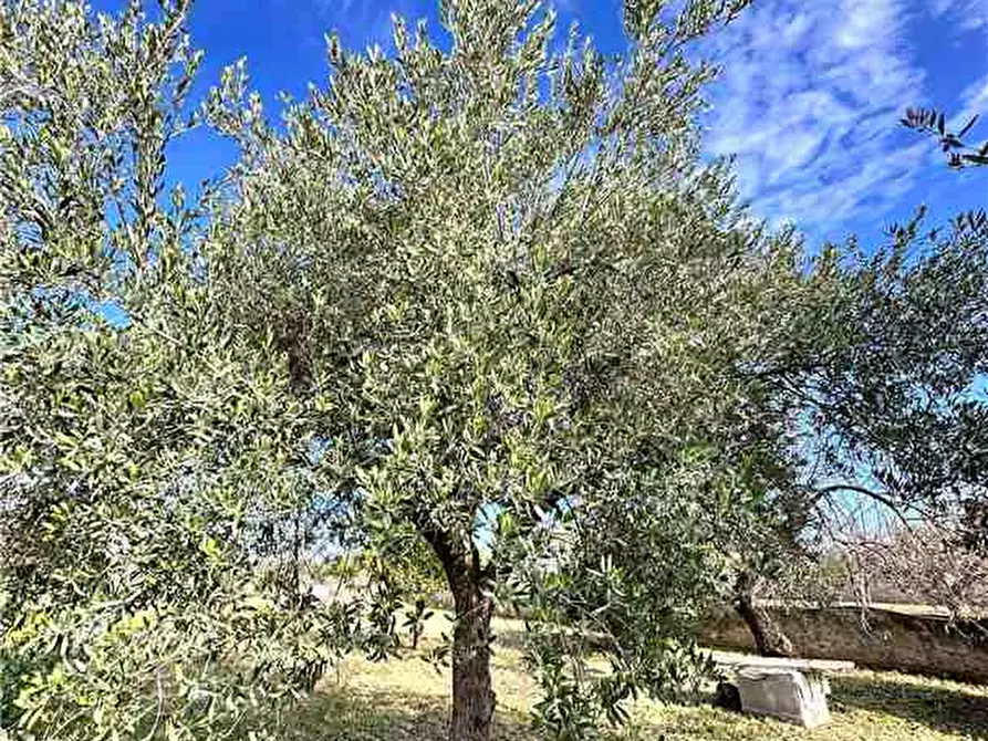 Immagine 4 di Villa in vendita  in Loc. C/da Falconara, s.n. a Noto