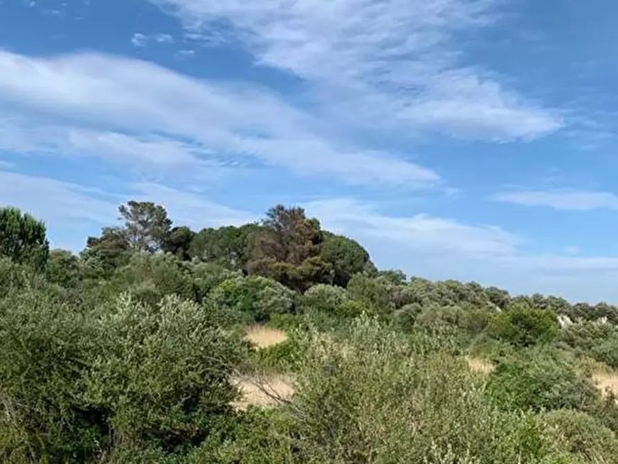 Immagine 10 di Terreno in vendita  in Loc. C/da Manghisi, s.n. a Noto