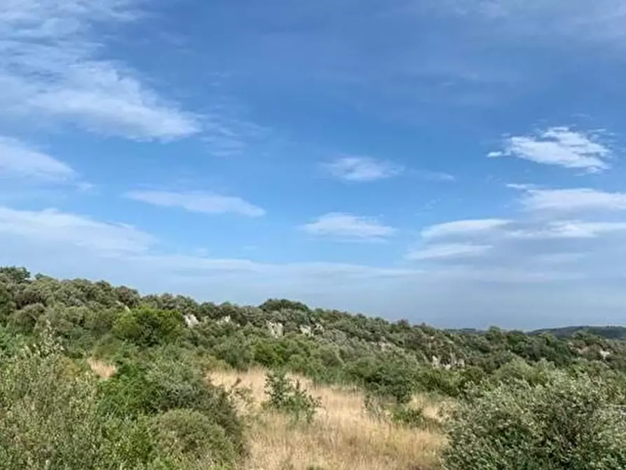 Immagine 11 di Terreno in vendita  in Loc. C/da Manghisi, s.n. a Noto