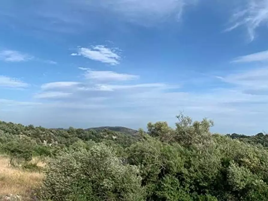Immagine 12 di Terreno in vendita  in Loc. C/da Manghisi, s.n. a Noto