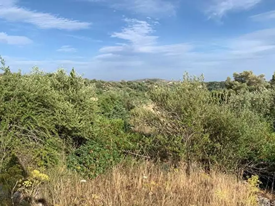 Immagine 2 di Terreno in vendita  in Loc. C/da Manghisi, s.n. a Noto