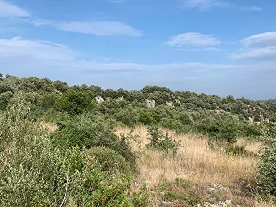 Immagine 3 di Terreno in vendita  in Loc. C/da Manghisi, s.n. a Noto