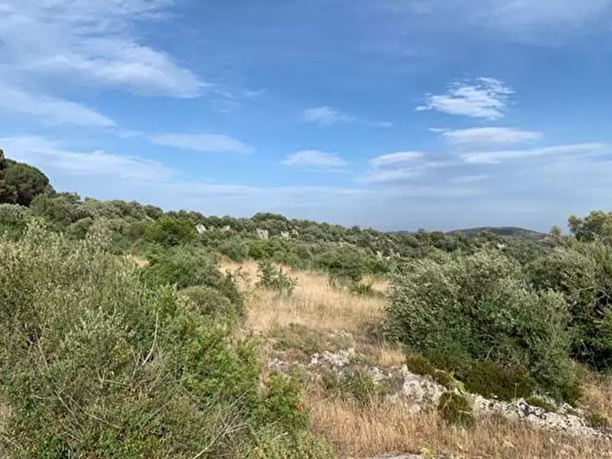 Immagine 4 di Terreno in vendita  in Loc. C/da Manghisi, s.n. a Noto