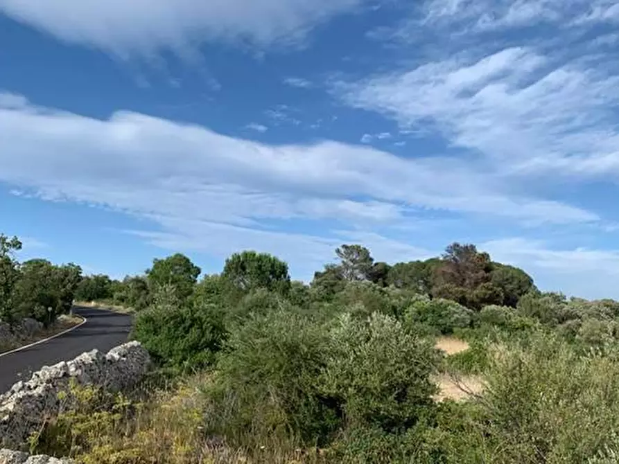Immagine 5 di Terreno in vendita  in Loc. C/da Manghisi, s.n. a Noto