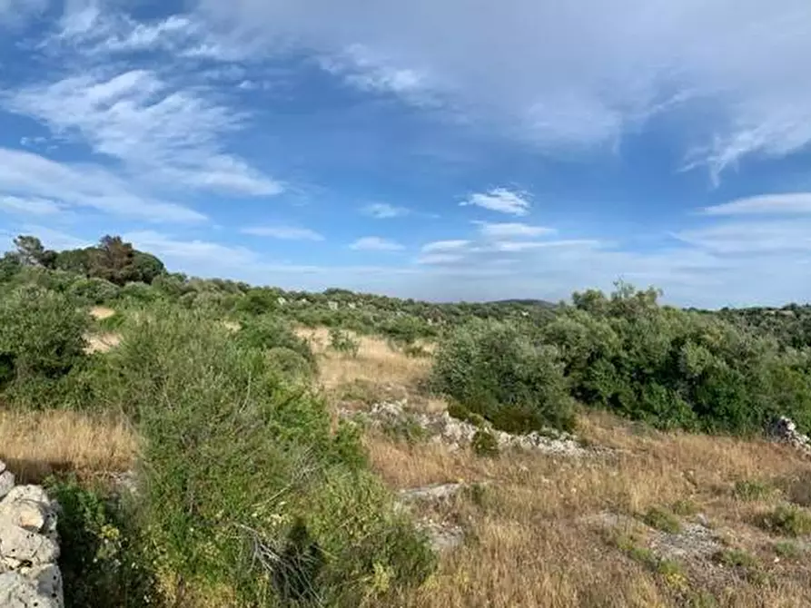 Immagine 6 di Terreno in vendita  in Loc. C/da Manghisi, s.n. a Noto