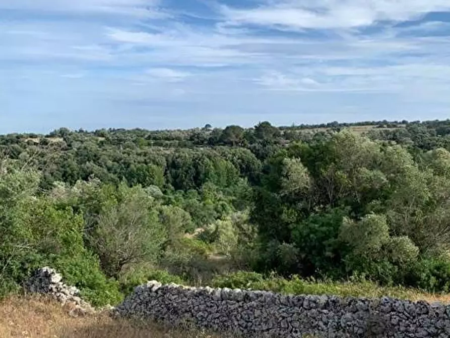 Immagine 7 di Terreno in vendita  in Loc. C/da Manghisi, s.n. a Noto