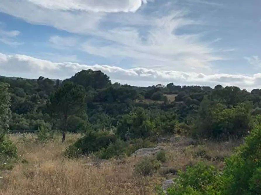 Immagine 8 di Terreno in vendita  in Loc. C/da Manghisi, s.n. a Noto