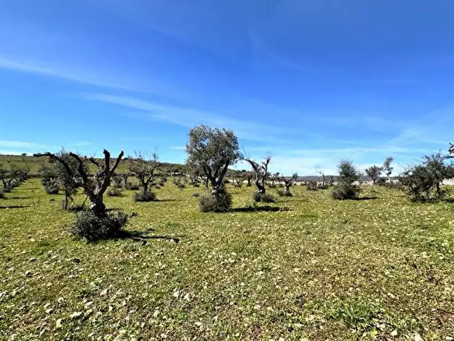 Immagine 12 di Terreno in vendita  in Loc. C/DA Masca, s.n. a Ferla