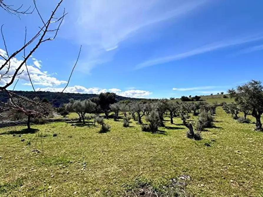 Immagine 13 di Terreno in vendita  in Loc. C/DA Masca, s.n. a Ferla