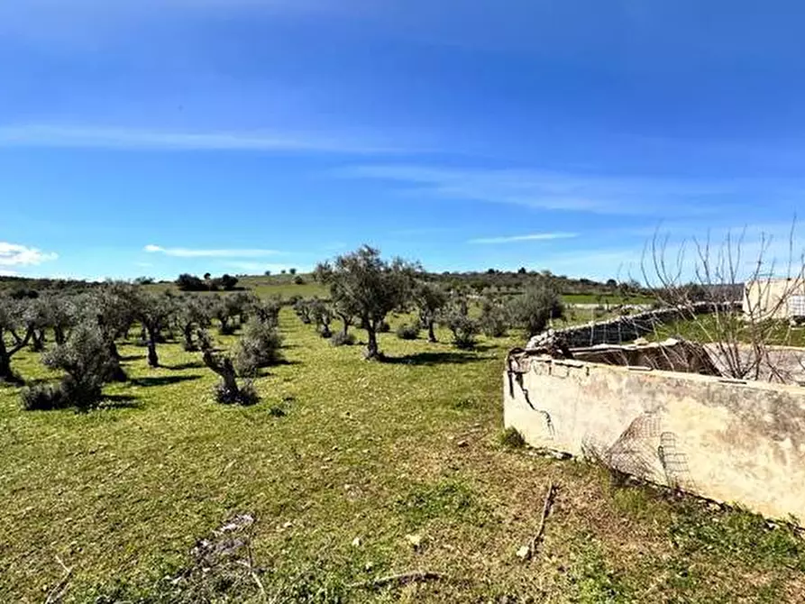 Immagine 5 di Terreno in vendita  in Loc. C/DA Masca, s.n. a Ferla