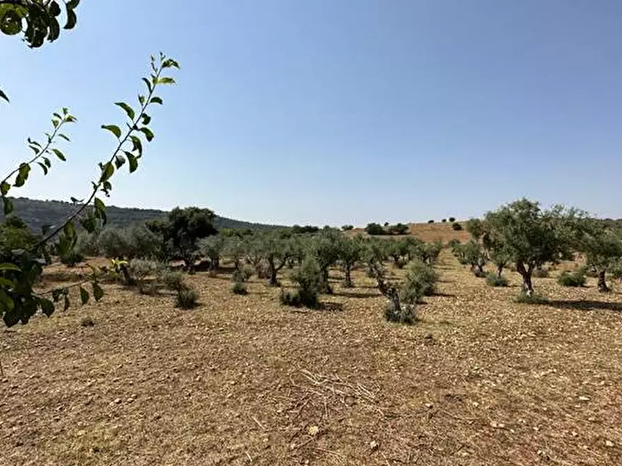 Immagine 6 di Terreno in vendita  in Loc. C/DA Masca, s.n. a Ferla