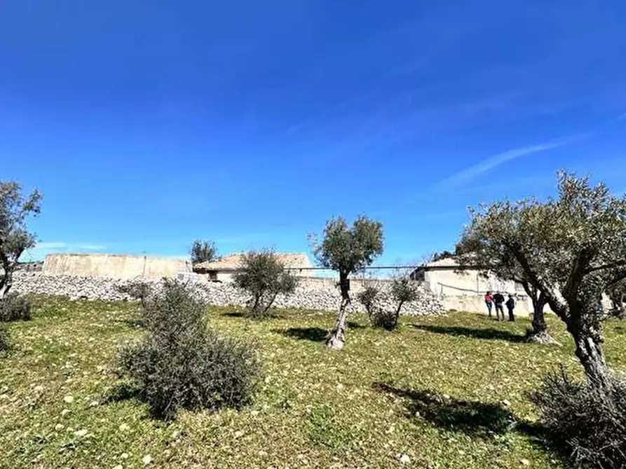 Immagine 7 di Terreno in vendita  in Loc. C/DA Masca, s.n. a Ferla