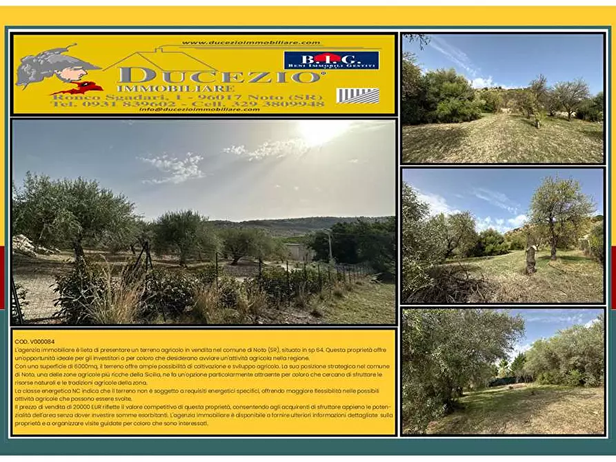 Immagine 1 di Terreno in vendita  in Loc. C/da Fiumara, s.n. a Noto