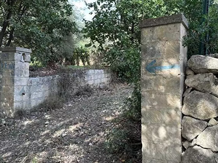 Immagine 2 di Terreno in vendita  in Loc. C/da Fiumara, s.n. a Noto