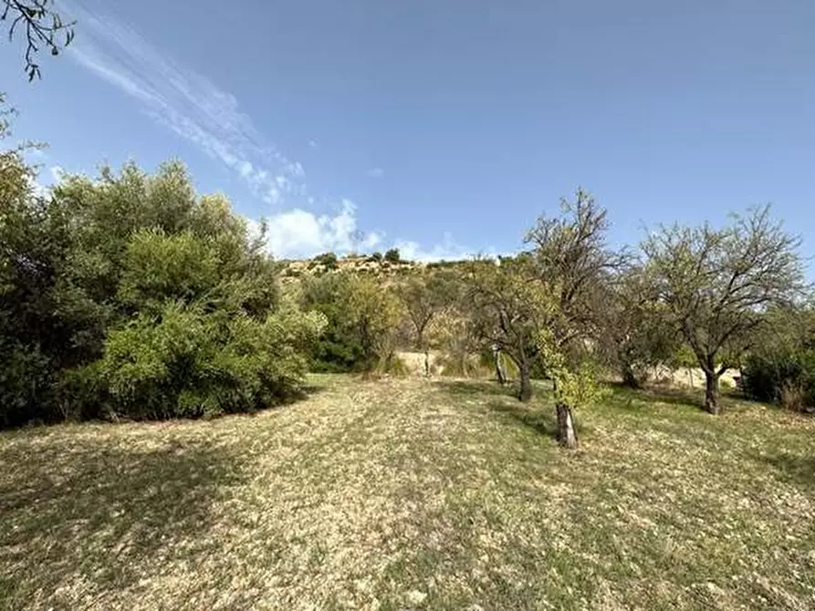 Immagine 3 di Terreno in vendita  in Loc. C/da Fiumara, s.n. a Noto