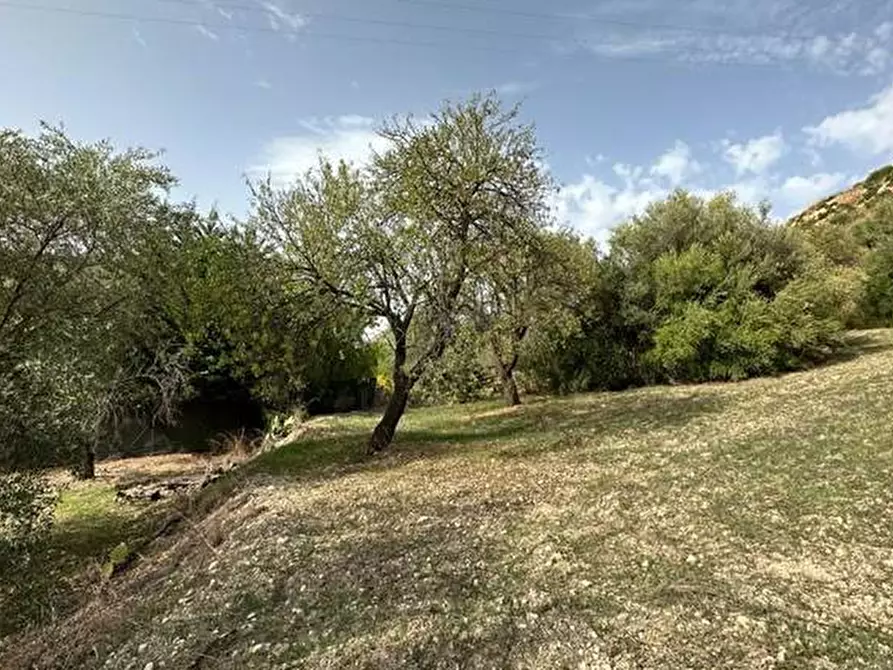 Immagine 4 di Terreno in vendita  in Loc. C/da Fiumara, s.n. a Noto