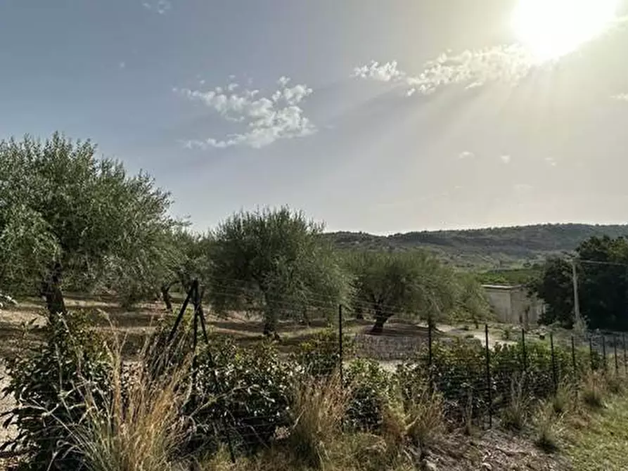 Immagine 5 di Terreno in vendita  in Loc. C/da Fiumara, s.n. a Noto