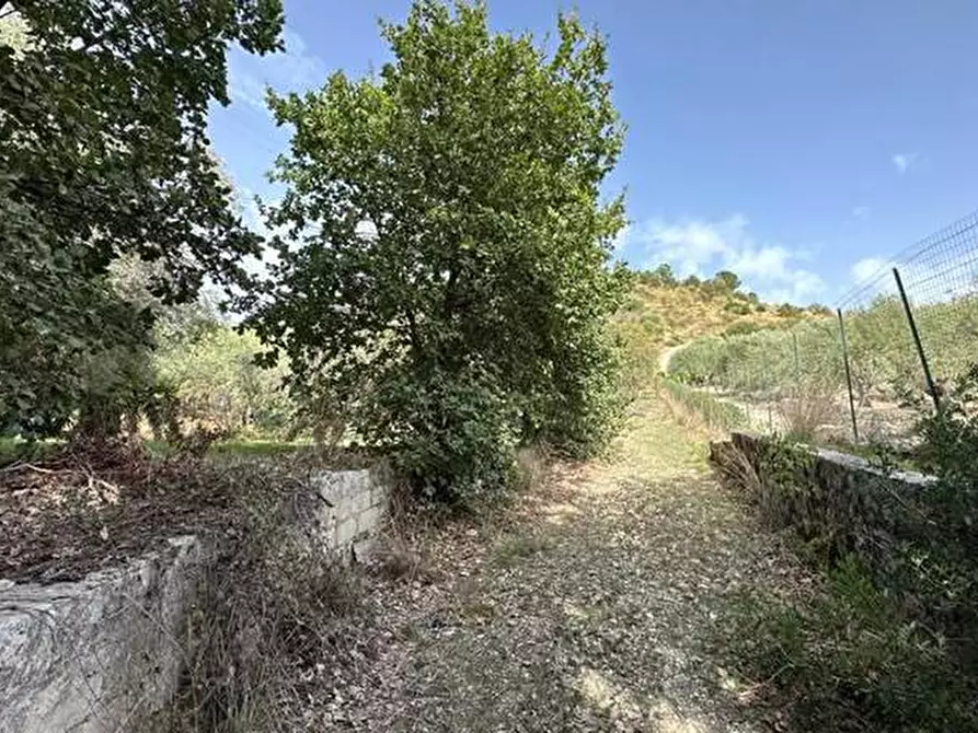Immagine 6 di Terreno in vendita  in Loc. C/da Fiumara, s.n. a Noto