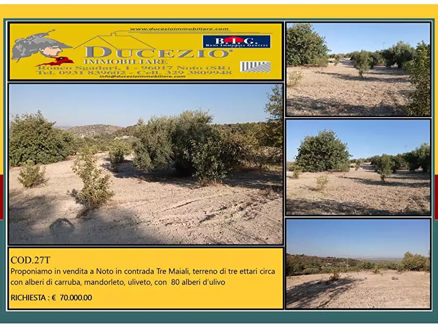 Immagine 1 di Terreno in vendita  in Loc. C/da Tre Maiali, s.n. a Noto