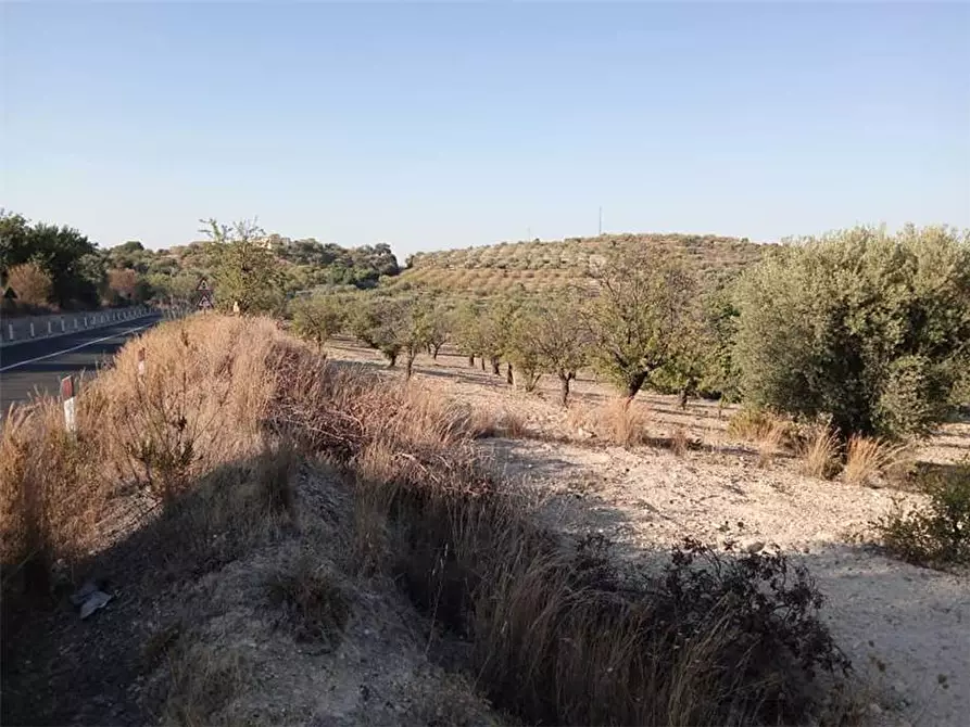 Immagine 2 di Terreno in vendita  in Loc. C/da Tre Maiali, s.n. a Noto