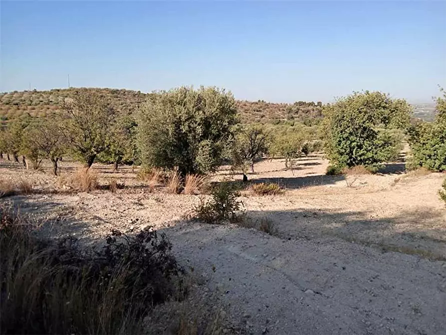 Immagine 3 di Terreno in vendita  in Loc. C/da Tre Maiali, s.n. a Noto