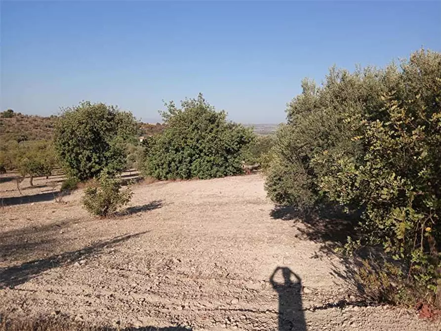 Immagine 4 di Terreno in vendita  in Loc. C/da Tre Maiali, s.n. a Noto