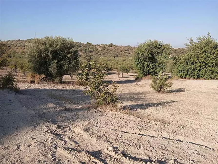 Immagine 5 di Terreno in vendita  in Loc. C/da Tre Maiali, s.n. a Noto