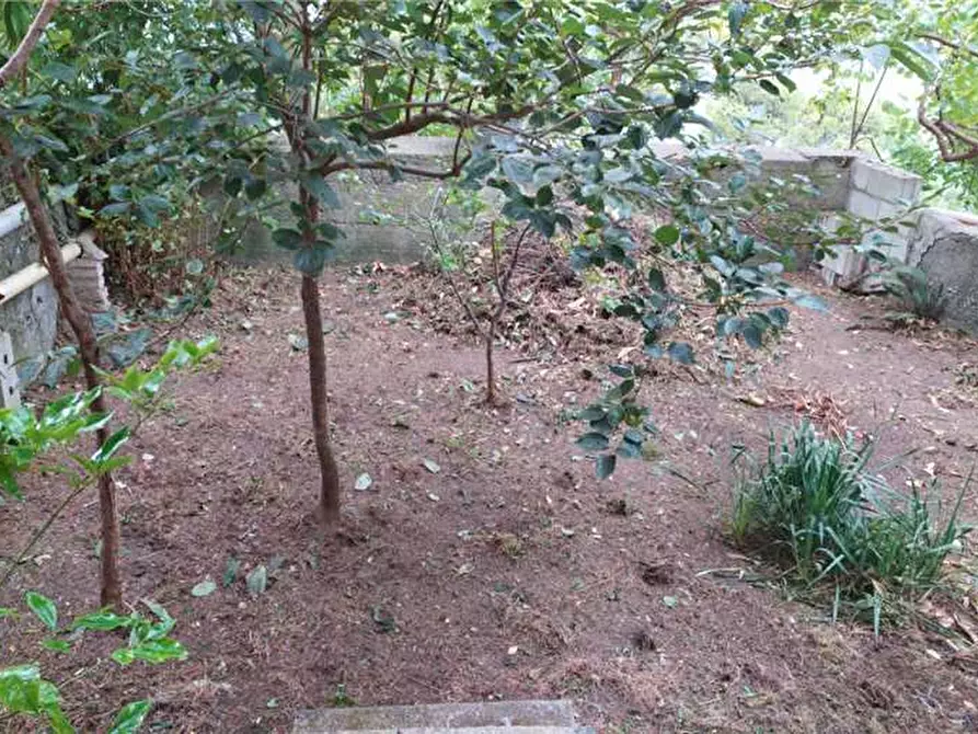 Immagine 14 di Villa in vendita  in Via Vittorio Emanuele, 94 a San Salvatore Di Fitalia