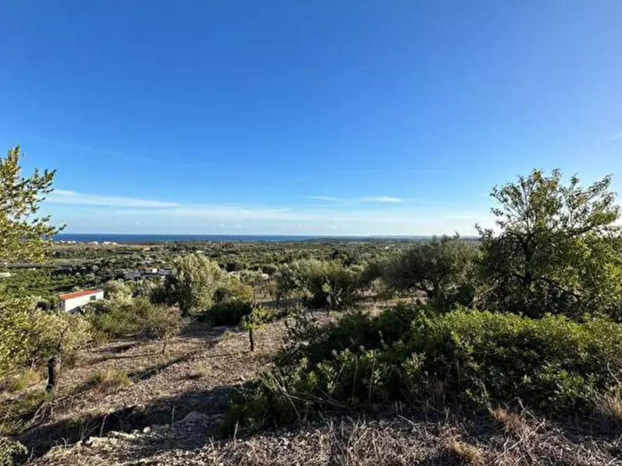 Immagine 14 di Terreno in vendita  in Loc. C/da Laufi, s.n. a Noto