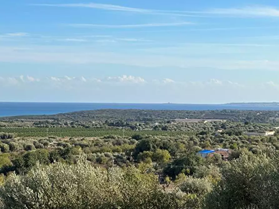 Immagine 4 di Terreno in vendita  in Loc. C/da Laufi, s.n. a Noto