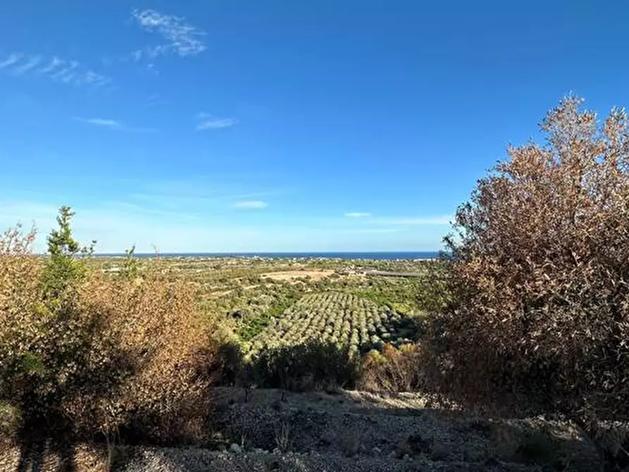 Immagine 6 di Terreno in vendita  in Loc. C/da Laufi, s.n. a Noto