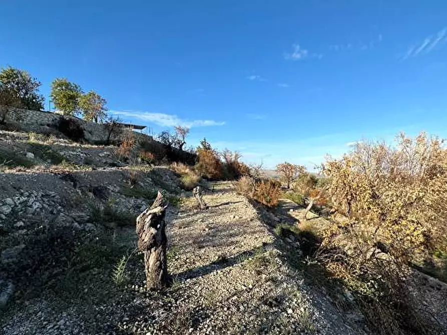 Immagine 7 di Terreno in vendita  in Loc. C/da Laufi, s.n. a Noto