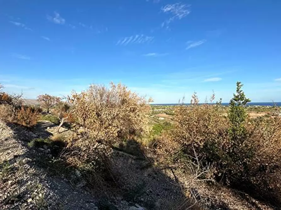 Immagine 8 di Terreno in vendita  in Loc. C/da Laufi, s.n. a Noto