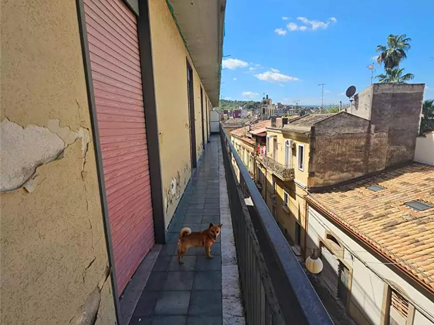 Immagine 7 di Stabile in vendita  in Via Giuseppe Verdi, 32 a Lentini