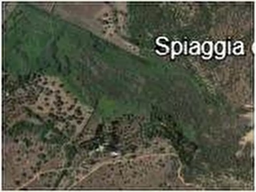 Immagine 2 di Terreno in vendita  in Loc. Fondo Mosche, sn a Noto