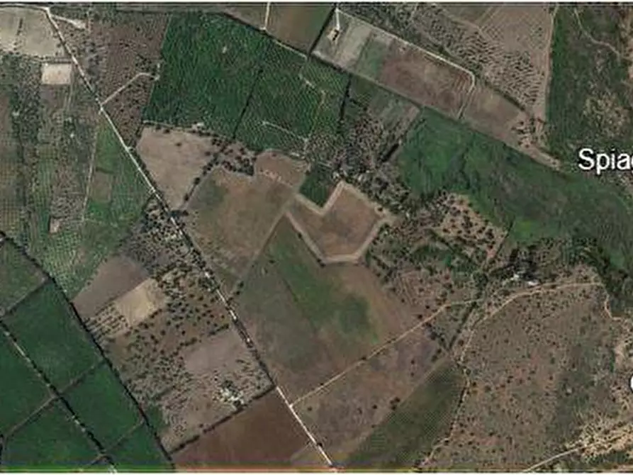 Immagine 3 di Terreno in vendita  in Loc. Fondo Mosche, sn a Noto