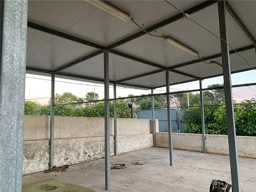 Immagine 5 di Stabile in vendita  in Loc. Testa Dell' Acqua, sn a Noto