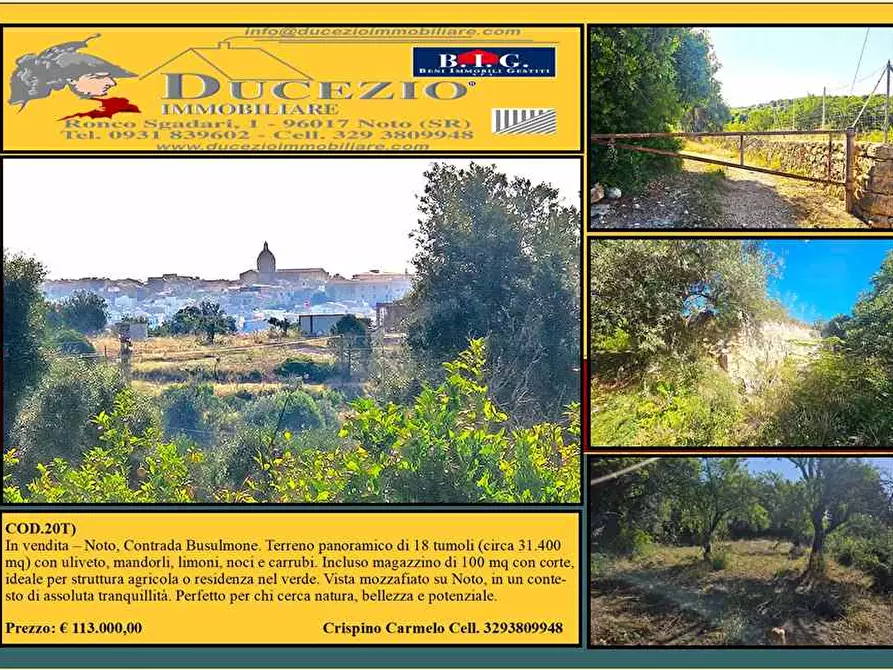 Immagine 1 di Terreno in vendita  in Loc. C/da Bulsulmone, sn a Noto