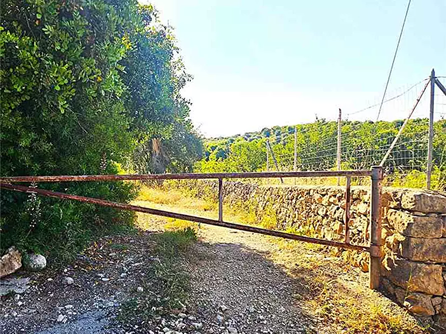 Immagine 2 di Terreno in vendita  in Loc. C/da Bulsulmone, sn a Noto