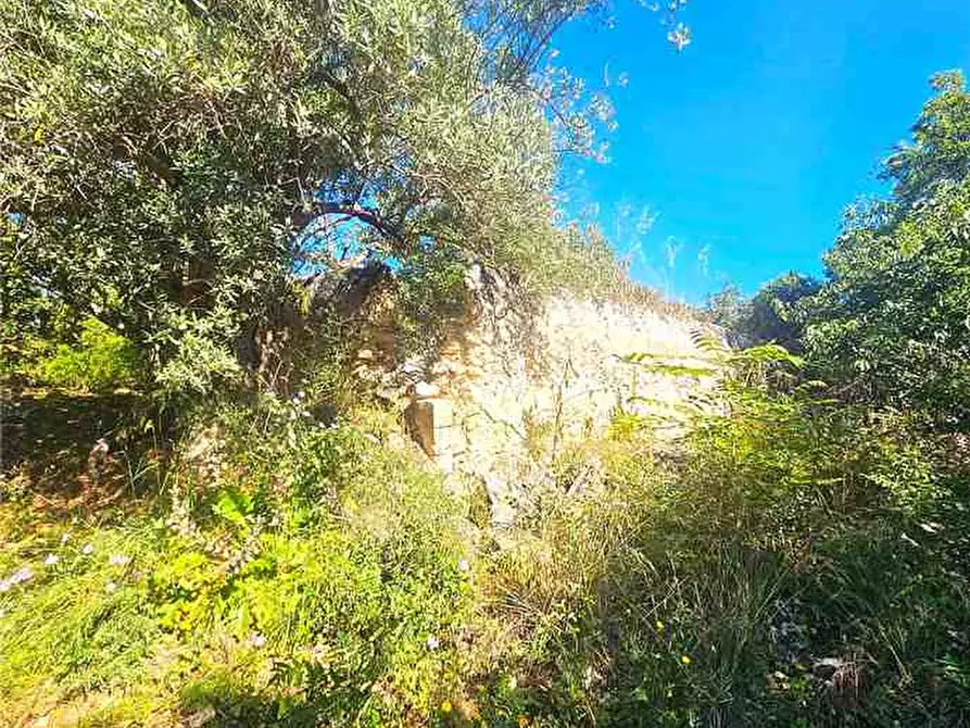 Immagine 3 di Terreno in vendita  in Loc. C/da Bulsulmone, sn a Noto