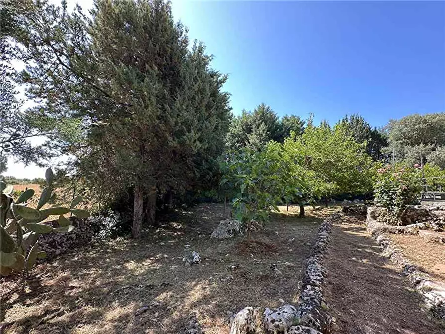 Immagine 8 di Villa in vendita  in Loc. Manghisi, sn a Noto