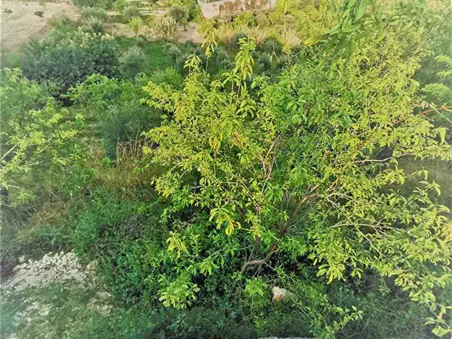 Immagine 10 di Villa in vendita  in Loc. C/da Laufi, sn a Noto