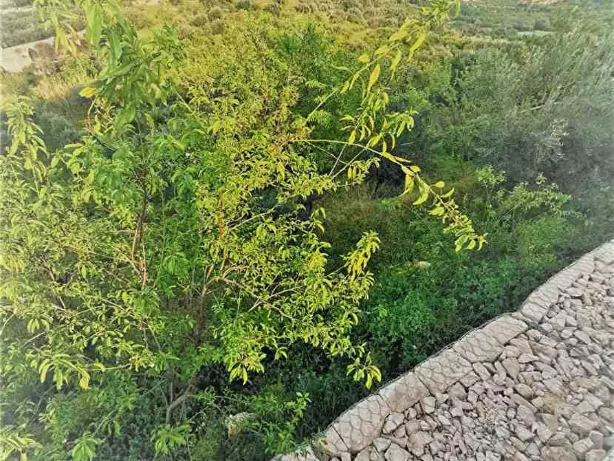 Immagine 8 di Villa in vendita  in Loc. C/da Laufi, sn a Noto