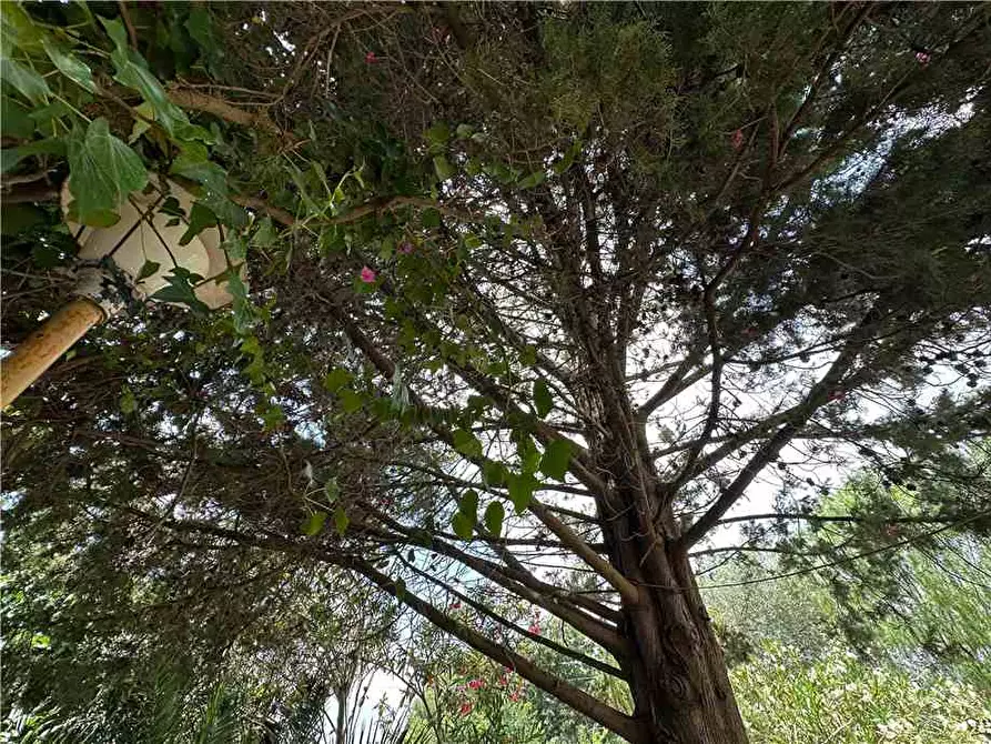 Immagine 4 di Villa in vendita  in Loc. Villa Vela, sn a Noto